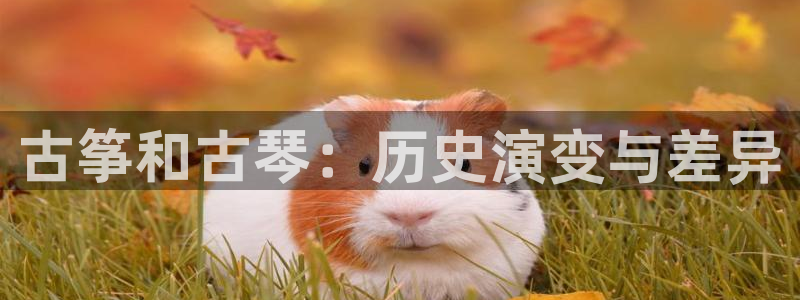 凯发k8是真是假