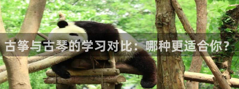 凯发k8娱乐欢迎您