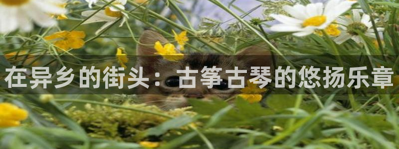 国际凯发k8真人版旗舰厅