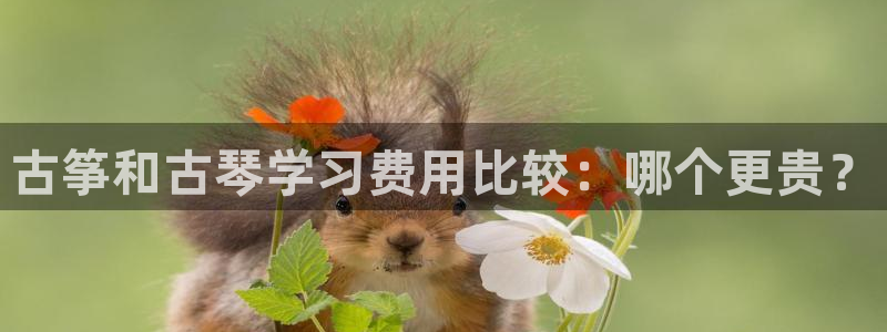凯发k8娱乐旗舰厅