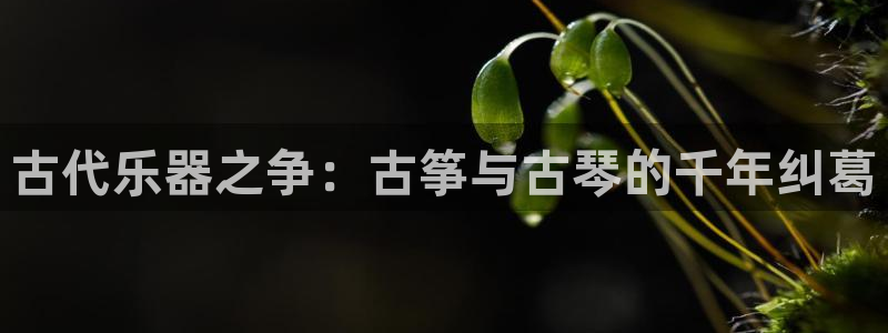 凯发k8天生赢家·一触即发