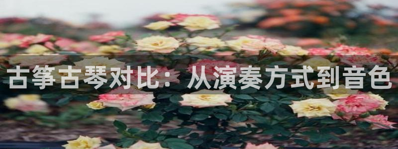 凯发k8网站是多少
