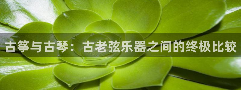 凯发是什么意思