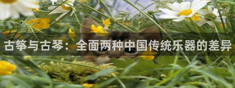 凯发正规网站