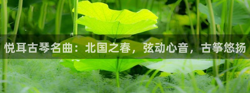 凯发k8555|手机版