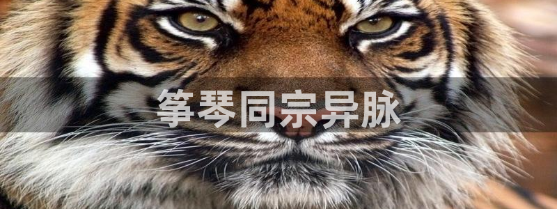 凯发官方网站下载