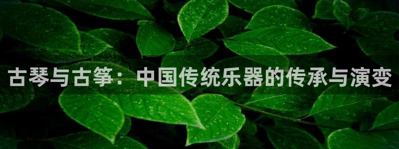 凯发k8娱乐是国内平台?