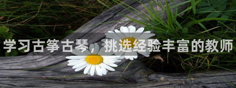 凯发k81111国际真人版