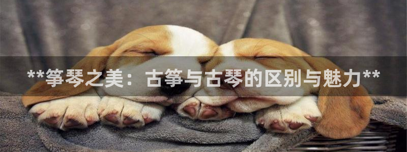 凯发k8官网so选来就送38