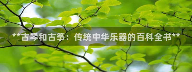 凯发国际怎么赚钱