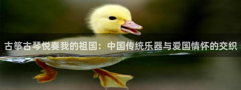 凯发k8娱乐官网手机端中心