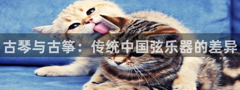 凯发国际官网下载