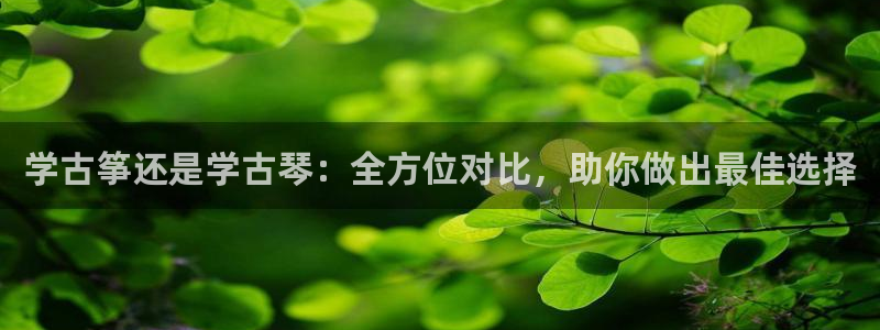 凯发国际平台登录不上