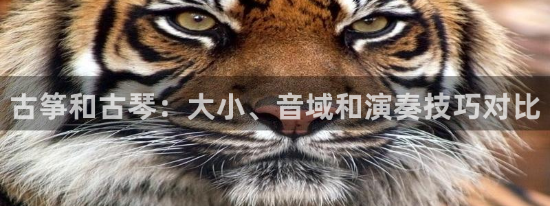 凯发k8手机是正品吗