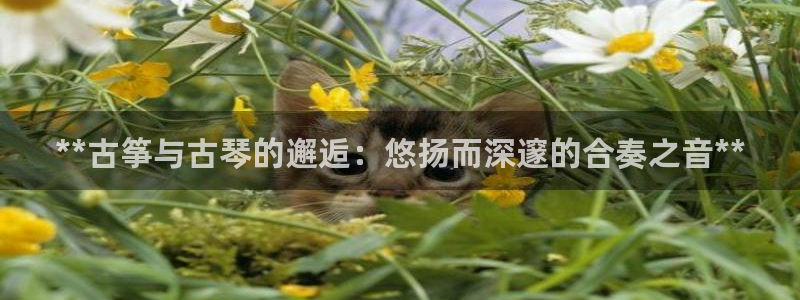 k8凯发官方找就送38