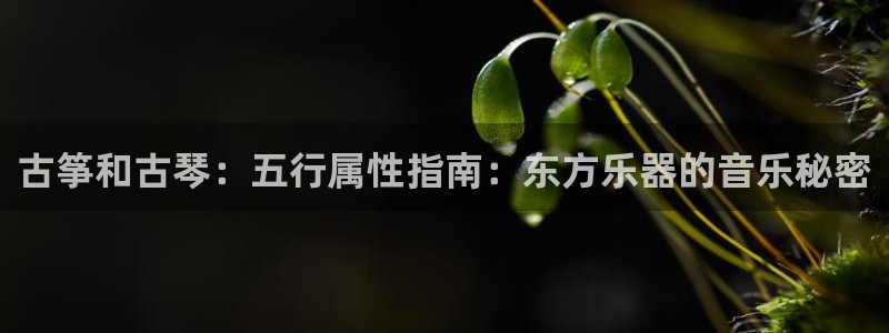 凯发k8ag旗舰厅网址