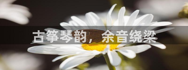 凯发娱乐国际厅