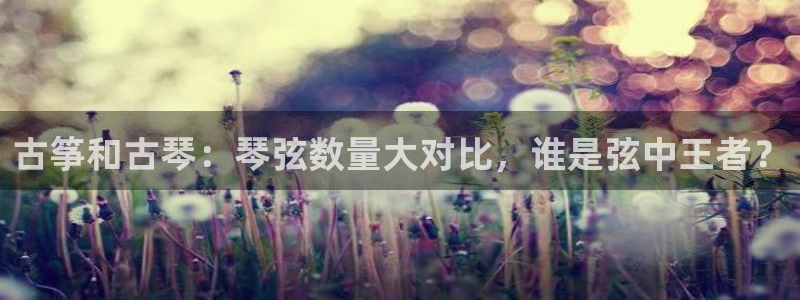 凯发国际网址官网