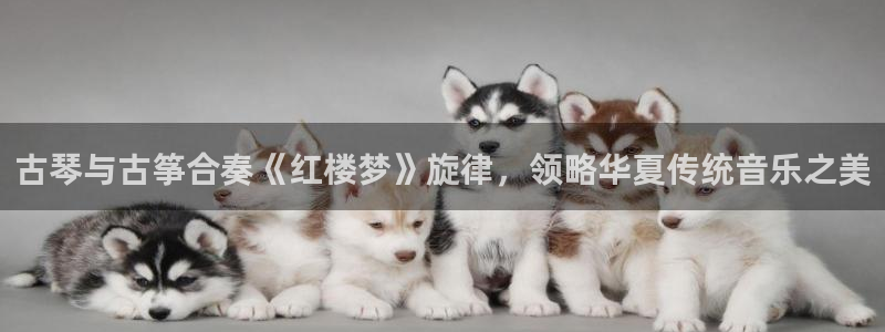 凯发官网入口首页