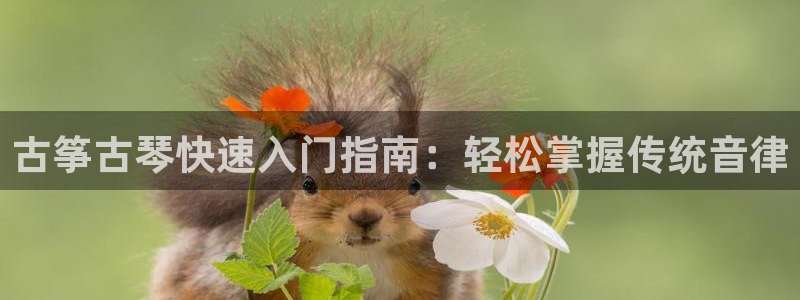 凯发国际是什么
