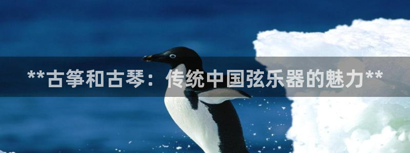 凯发app是干嘛的