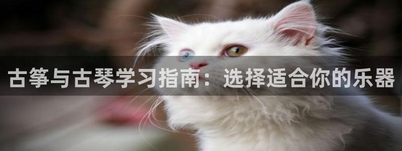 凯发娱乐官方网站
