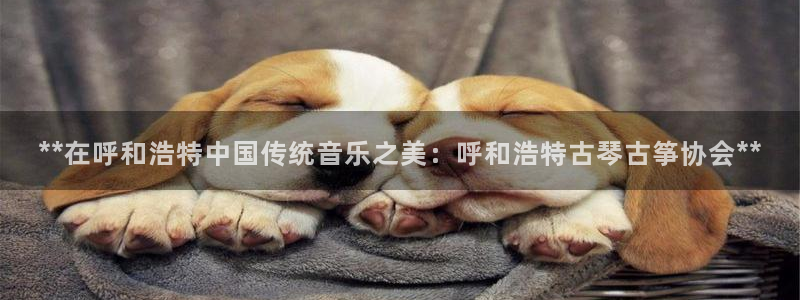 凯发app平台