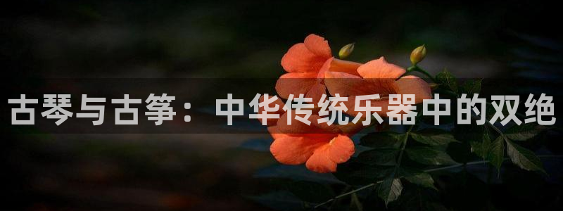凯发k8娱乐是国内平台?