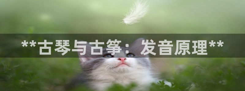 凯发官网入口首页