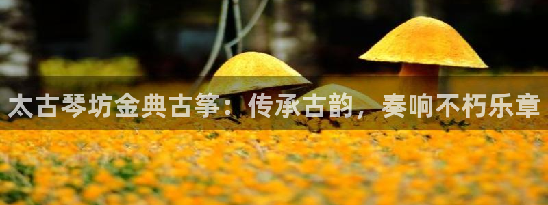 凯发娱乐官方网站