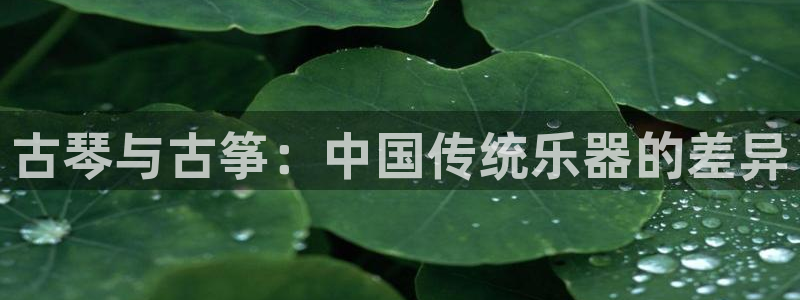 凯发娱网址是什么