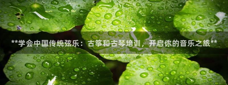 凯发k8网站是多少