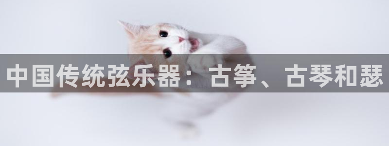 凯发k8官方网娱乐官方真