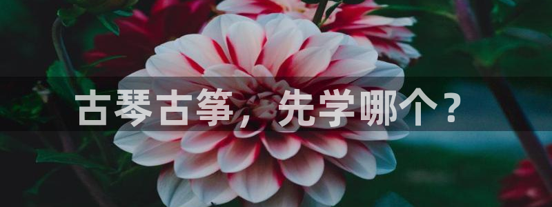 凯发国际平台app