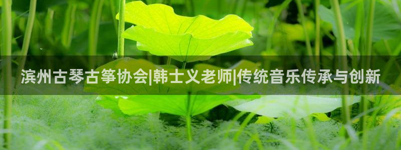 凯发网址多少
