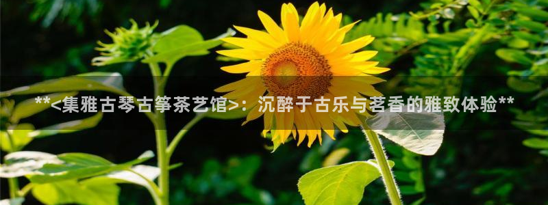 凯发k8娱乐官网手机端中心
