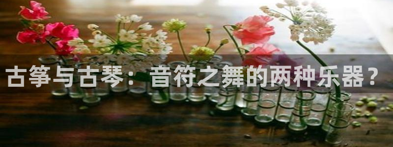 凯发线上官方网站下载网址：古筝与古琴：音符之舞的两种乐器？