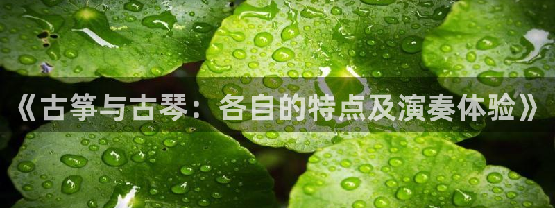 凯发平台轻7O777