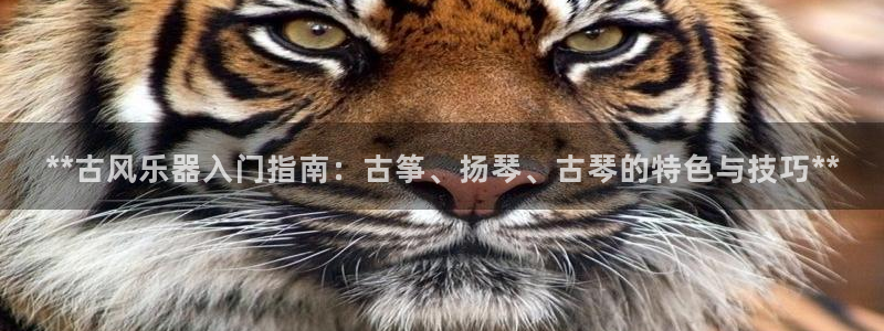 凯发app是干嘛的