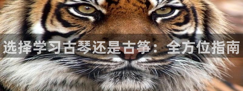 凯发k8app下载