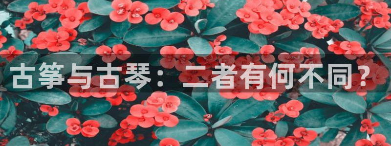 凯发网娱乐官网国际