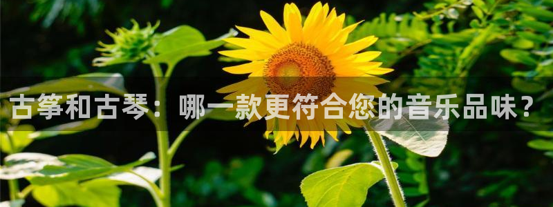 凯发k8娱乐欢迎您