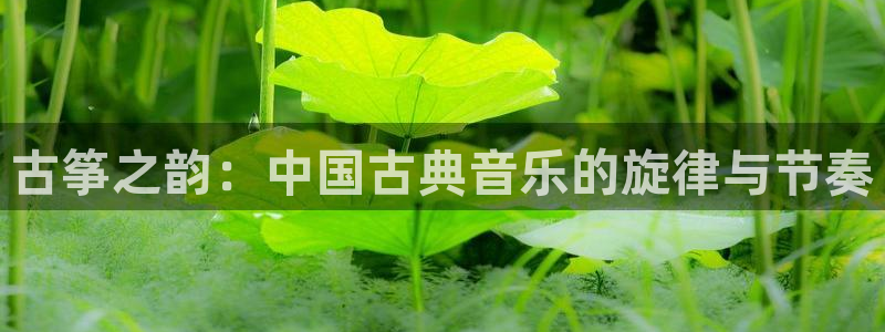 凯发国际网址官网首页