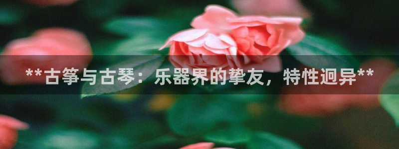 凯发k8客户端：**古筝与古琴：乐器界的挚友，特性迥异**