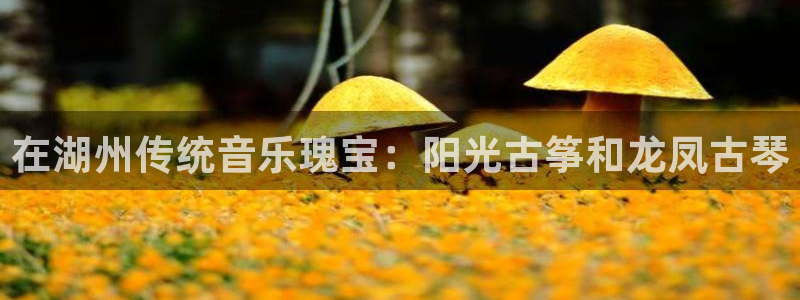 凯发旗舰厅网站