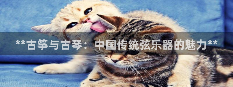 凯发国际娱乐官网k8
