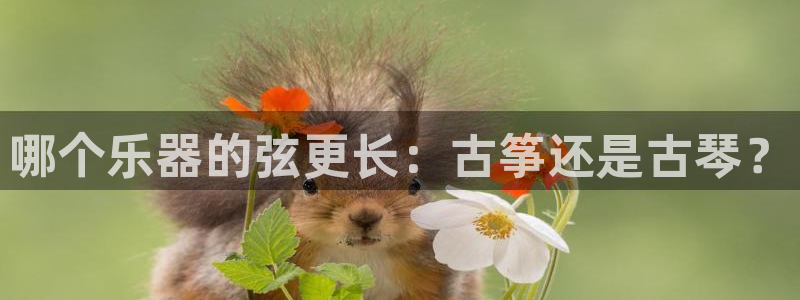 凯发国际网址官网首页：哪个乐器的弦更长：古筝还是古琴？
