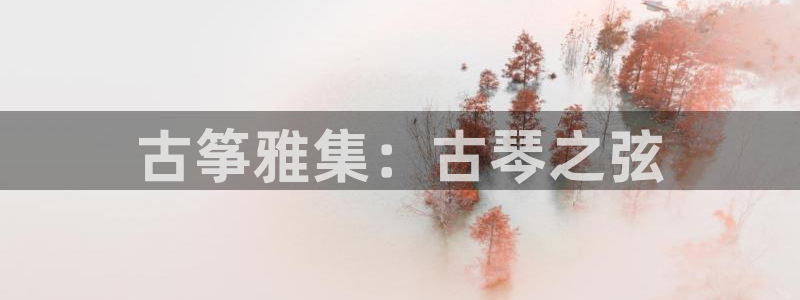 凯发官网下载客户端：古筝雅集：古琴之弦
