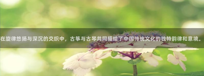 凯发国际网址官网首页：在旋律悠扬与深沉的交织中，古筝与古琴共