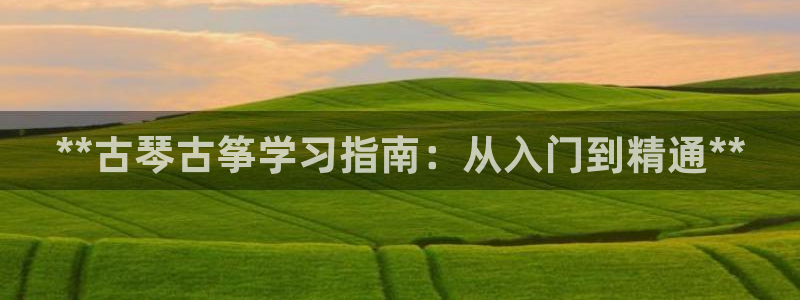 凯发k8娱乐倒闭了吗：**古琴古筝学习指南：从入门到精通**